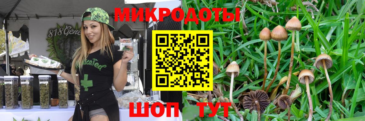 Донской  Псилоцибиновые грибы Psilocybine cubensis  Вход с VPN  Псилоцибиновые грибы мицелий 