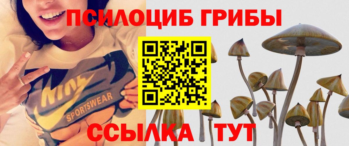 Галлюциногенные грибы GOLDEN TEACHER Донской