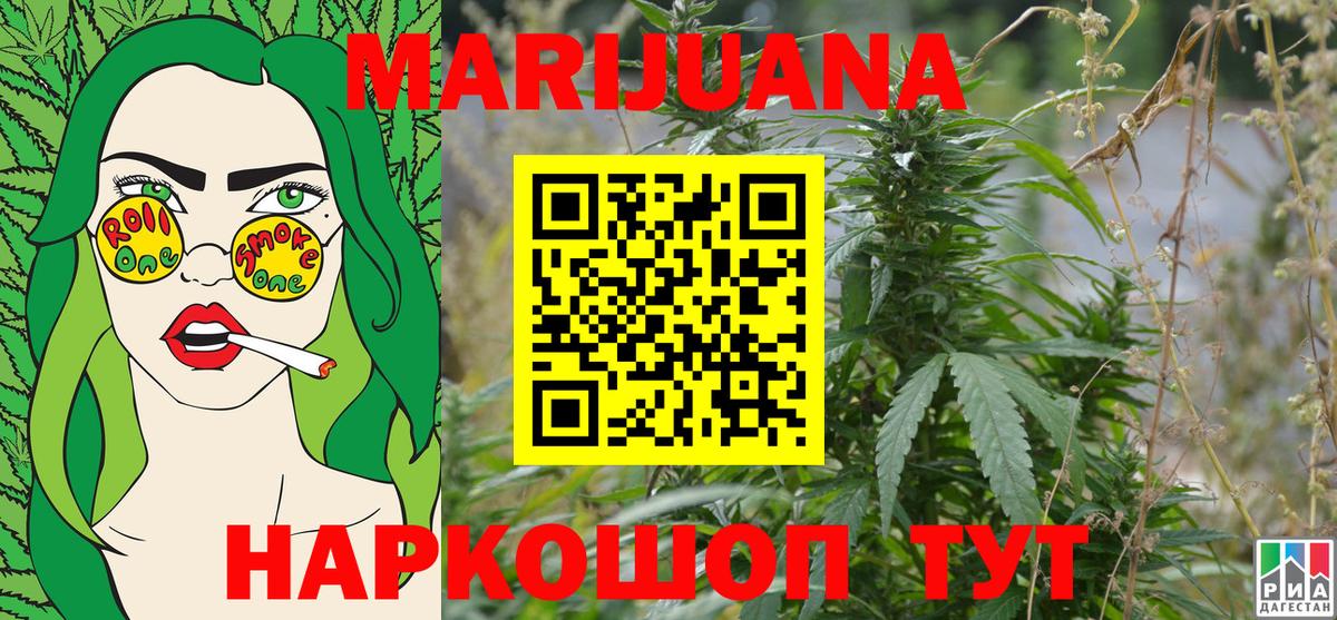 Конопля конопля Донской